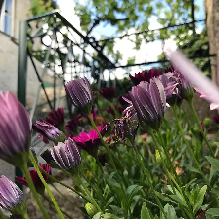 Casa Da Ponte Tatil Evi