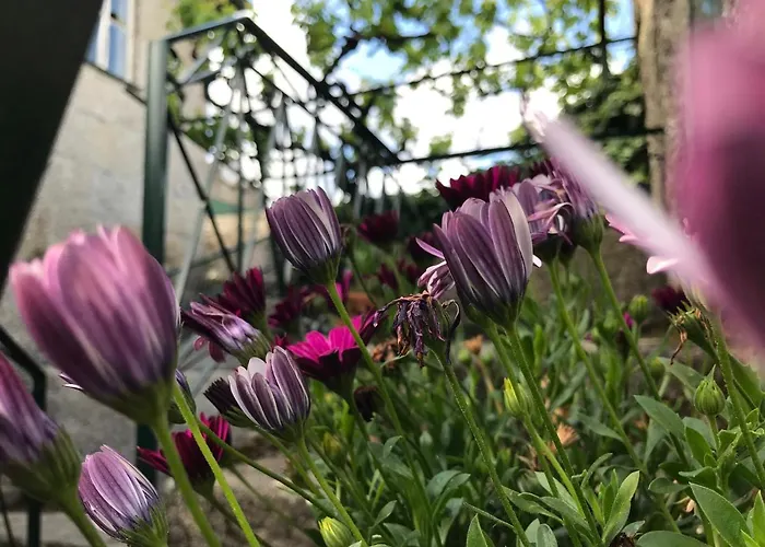 Casa Da Ponte Сasa de vacaciones