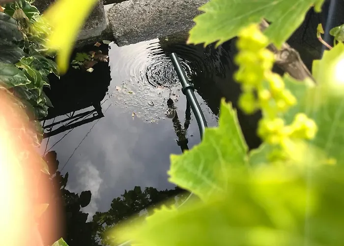 Casa Da Ponte Dom wakacyjny